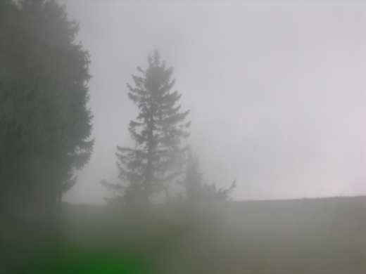 Jaworzyna-ulewa.jpg