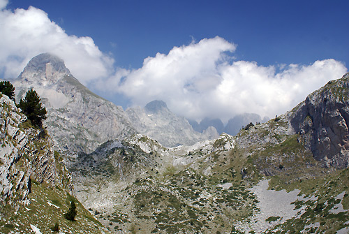 DSC06492.jpg