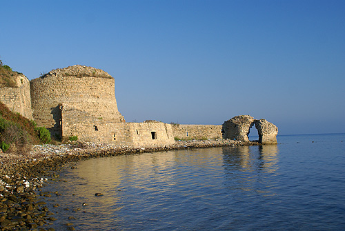 DSC06767.jpg