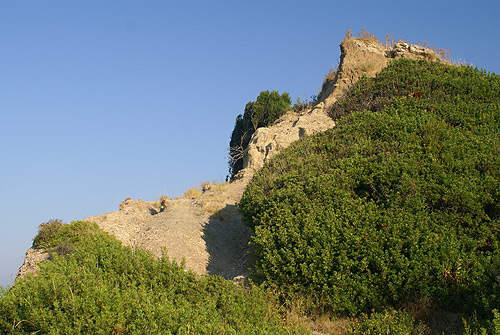 DSC06812.jpg
