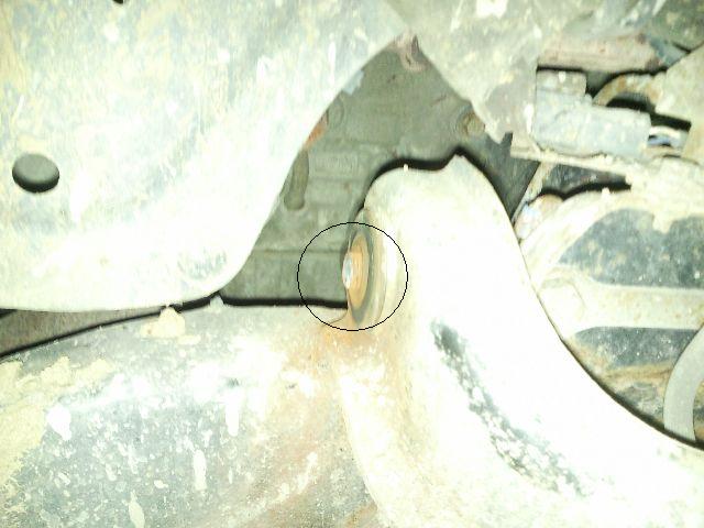 SNC_100912_135905.jpg