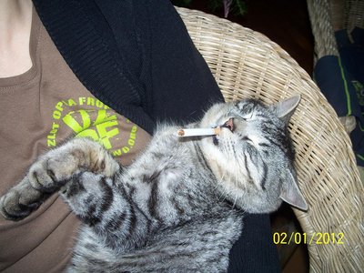 100_3108.JPG