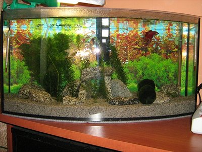 IMG_3050.jpg