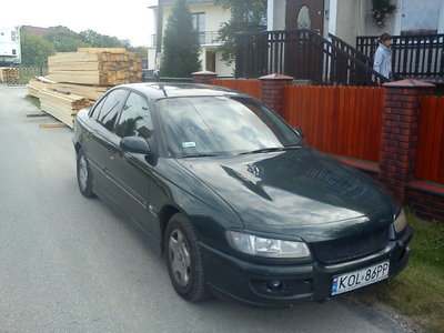 DSC00184.jpg