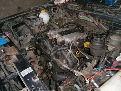 PB080067.JPG