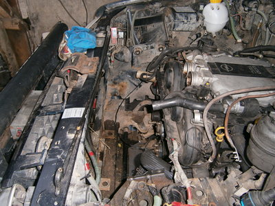 PB080068.JPG