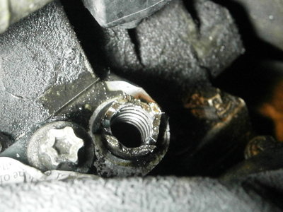 PB150095.JPG