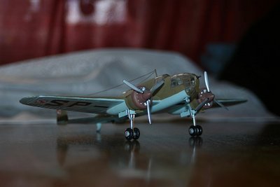 IMG_6988.JPG