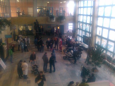 IMG_20131206_095604.jpg