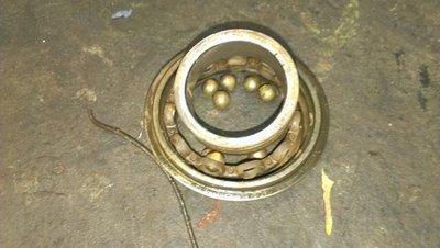 l1.jpg
