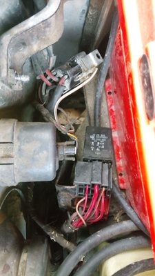 IMG_20170801_194745.jpg
