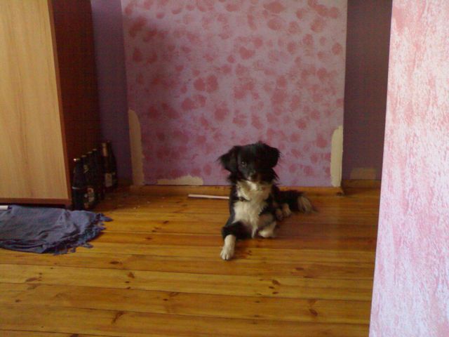 20070703002.jpg