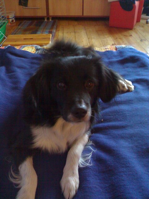 20070726093.jpg