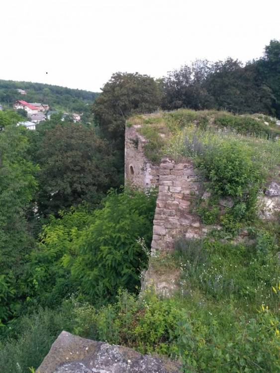 IMG 20170703 094044