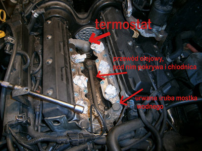 PB070056 copy.jpg (1.35 MiB) Przeglądane 4199 razy PB070056 copy.jpg