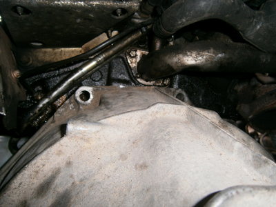 PB080058.JPG (1.32 MiB) Przeglądane 4194 razy PB080058.JPG